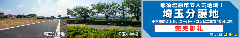 埼玉分譲地