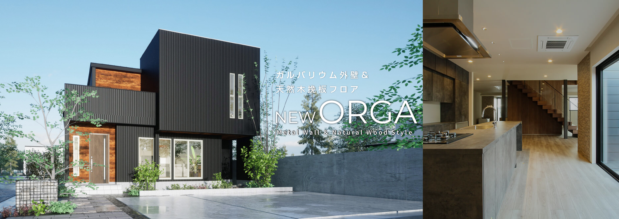 ORGA