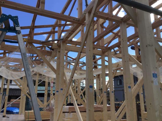 2025_12_11_08_10_13_984_25